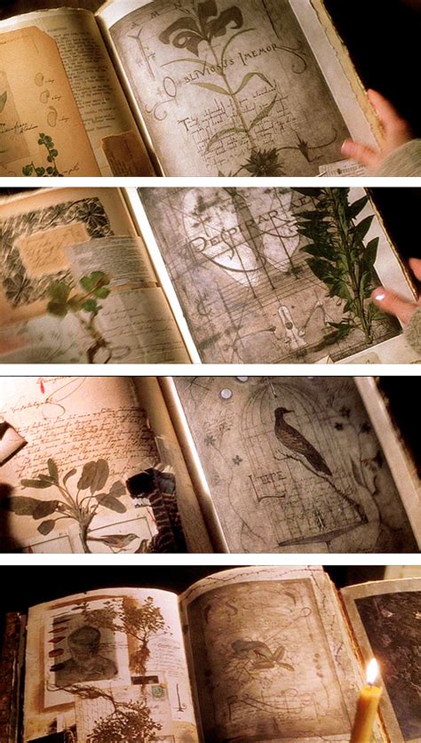 The Magical Tools of Practical Magic: A Closer Look at Their Development